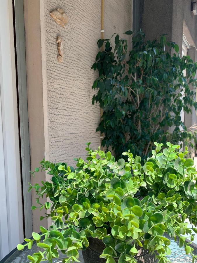 Renovated Cozy Apartment Near To Acropolis Athen Exterior foto